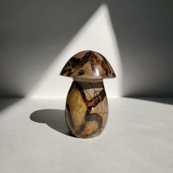 4" tall Septarian Mushroom Crystal - Picture 4 of 4